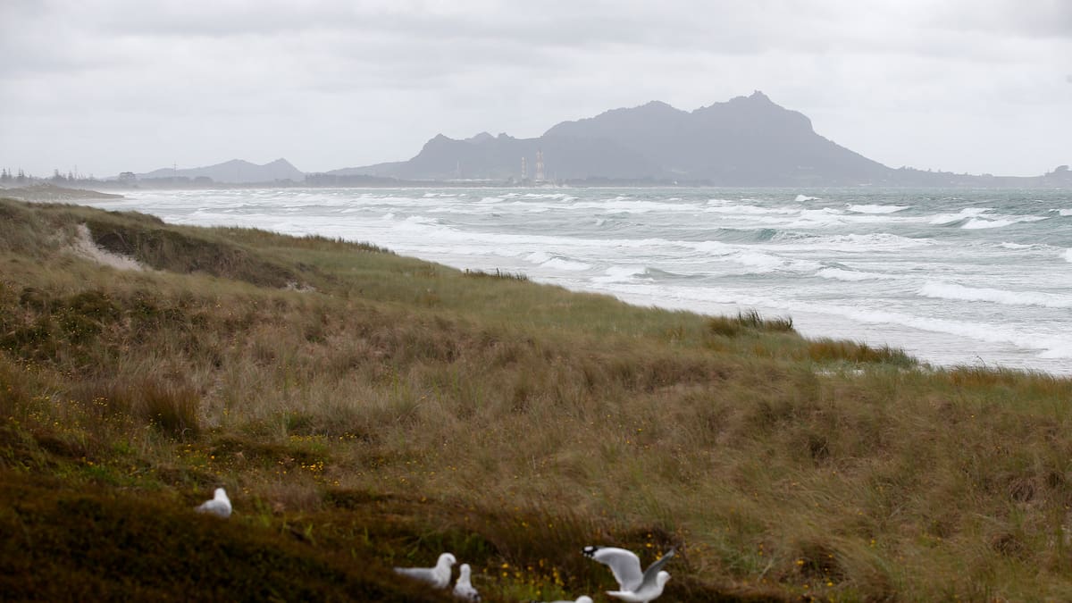 Orange heavy rain warning for Northland: Up to 250mm of rain, flooding risk, strong winds forecast