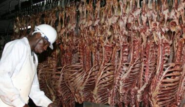 Kenya’s $2.3 million weekly meat trade crashes amid conflict in the Middle East