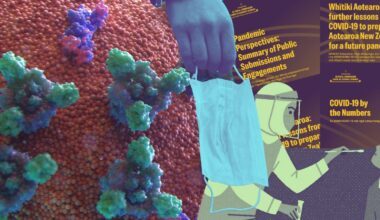 Experts weigh lessons from COVID inquiry