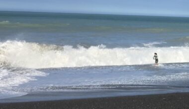 Napier: Young man praised for plunging into Marine Parade surf to save people stuck in water