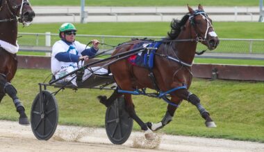 The Insider – New Zealand Analysis March 26 Edition