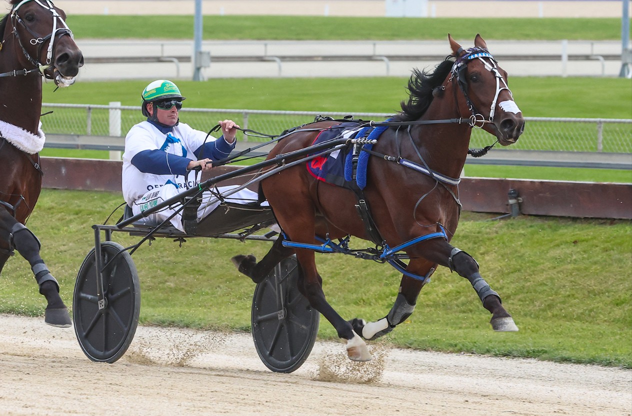 The Insider – New Zealand Analysis March 26 Edition