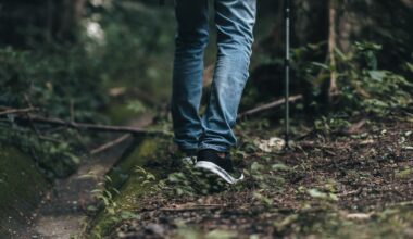 Missing man found safe after night in Far North bush near Hōreke