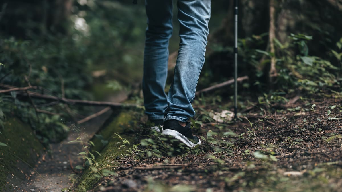 Missing man found safe after night in Far North bush near Hōreke