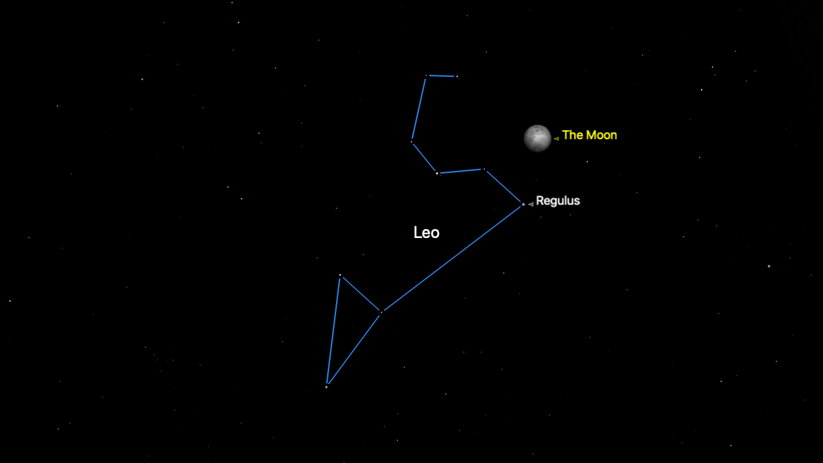 night sky image showing the location of the moon shining above regulus on march 1.
