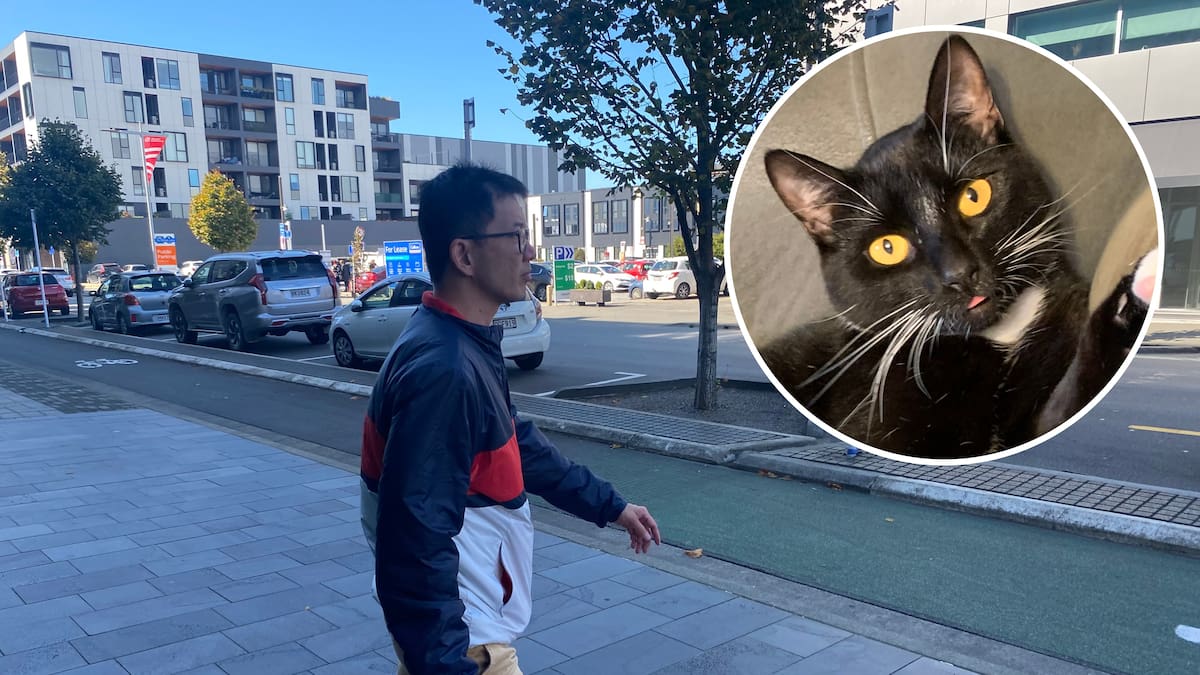 Rongjian Feng sentenced in Christchurch court for torturing pet cat
