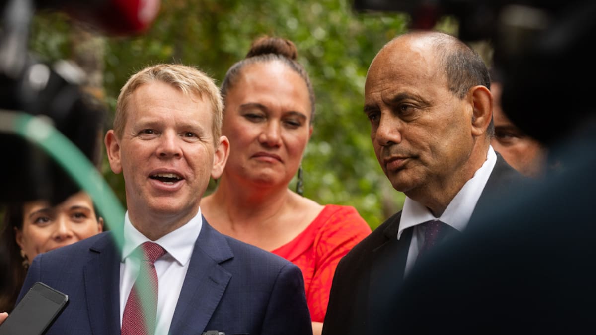 Labour asks Govt to exempt abuse in care survivors, people in hardship from MSD debt law change