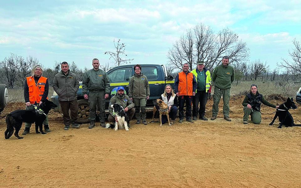 Greek ‘FBI’ joins vulture poisoning investigation