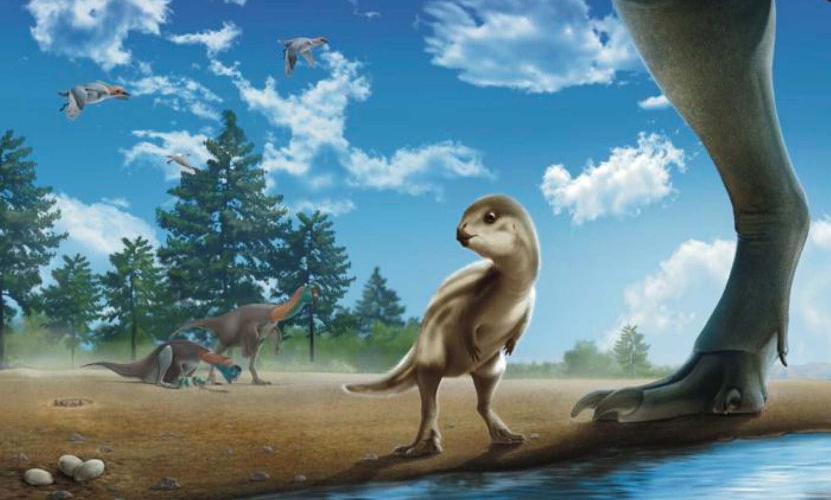New Baby Dinosaur Discovered in Korea