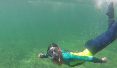 ‘Beyond distressing’: Study lays algal bloom mental health impacts bare - News