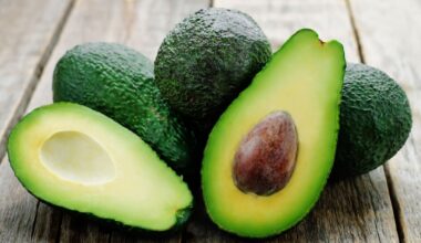 Avocado industry achieves resilient harvest as Asia and India drive export gains
