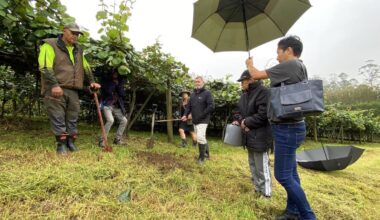 Northland kiwifruit karakia for New Zealand’s $5 billion harvest start