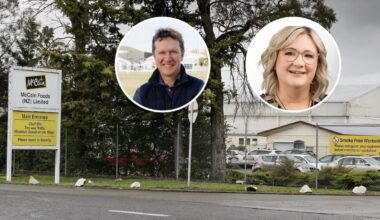 McCain shutdown: Mayors see risk to the food basket of Hawke’s Bay - ‘We cannot afford to accept this as inevitable’