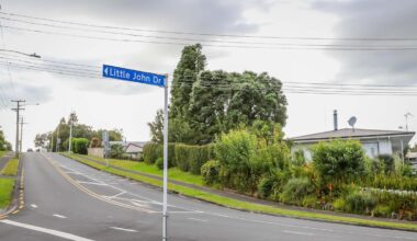 Ōtūmoetai dog mauling: Owner of attacked pet urges mandatory prosecution