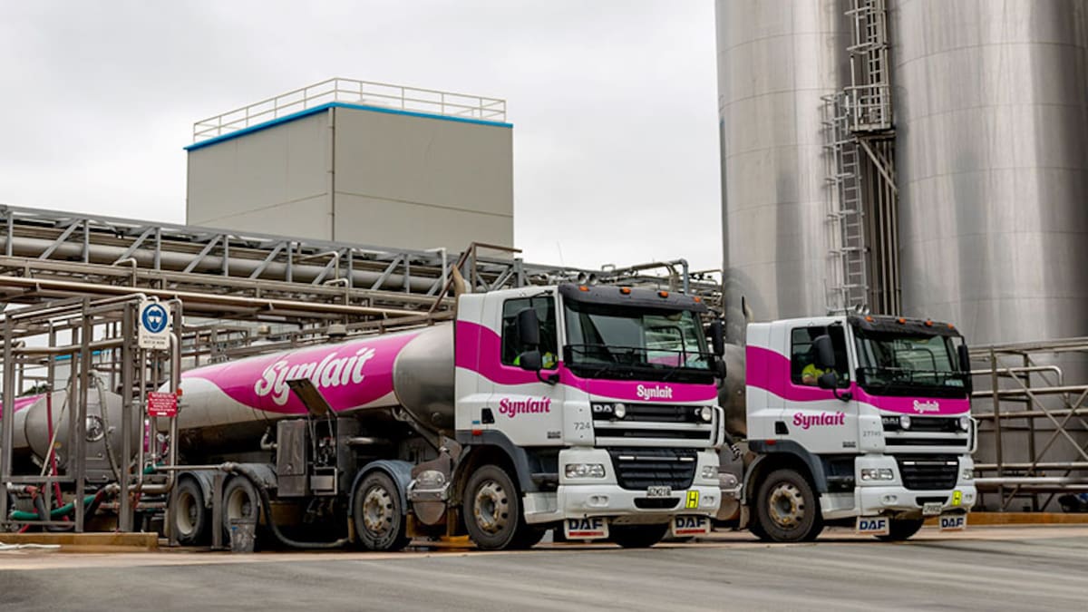 Synlait Milk posts $80.6m half-year loss as recovery plan takes shape