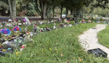 Rotorua mourners raise concerns over cemetery maintenance standards