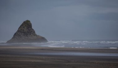 Search and rescue underway for man swept off rocks at Karekare