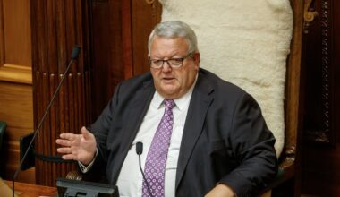 Speaker Gerry Brownlee asks court to recall and reconsider Mariameno Kapa-Kingi judgment