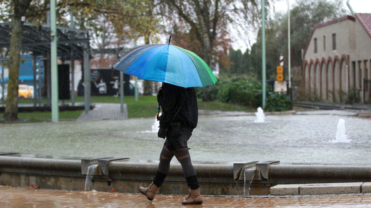 Weather: Deep subtropical low forming northwest of New Zealand threatens heavy rain, strong winds