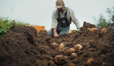 Food System Doc 'Fork In The Road' Premieres At Sonoma Film Festival