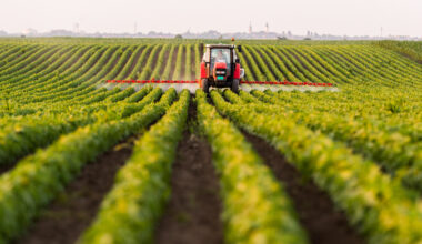 tractor fertilising the fields