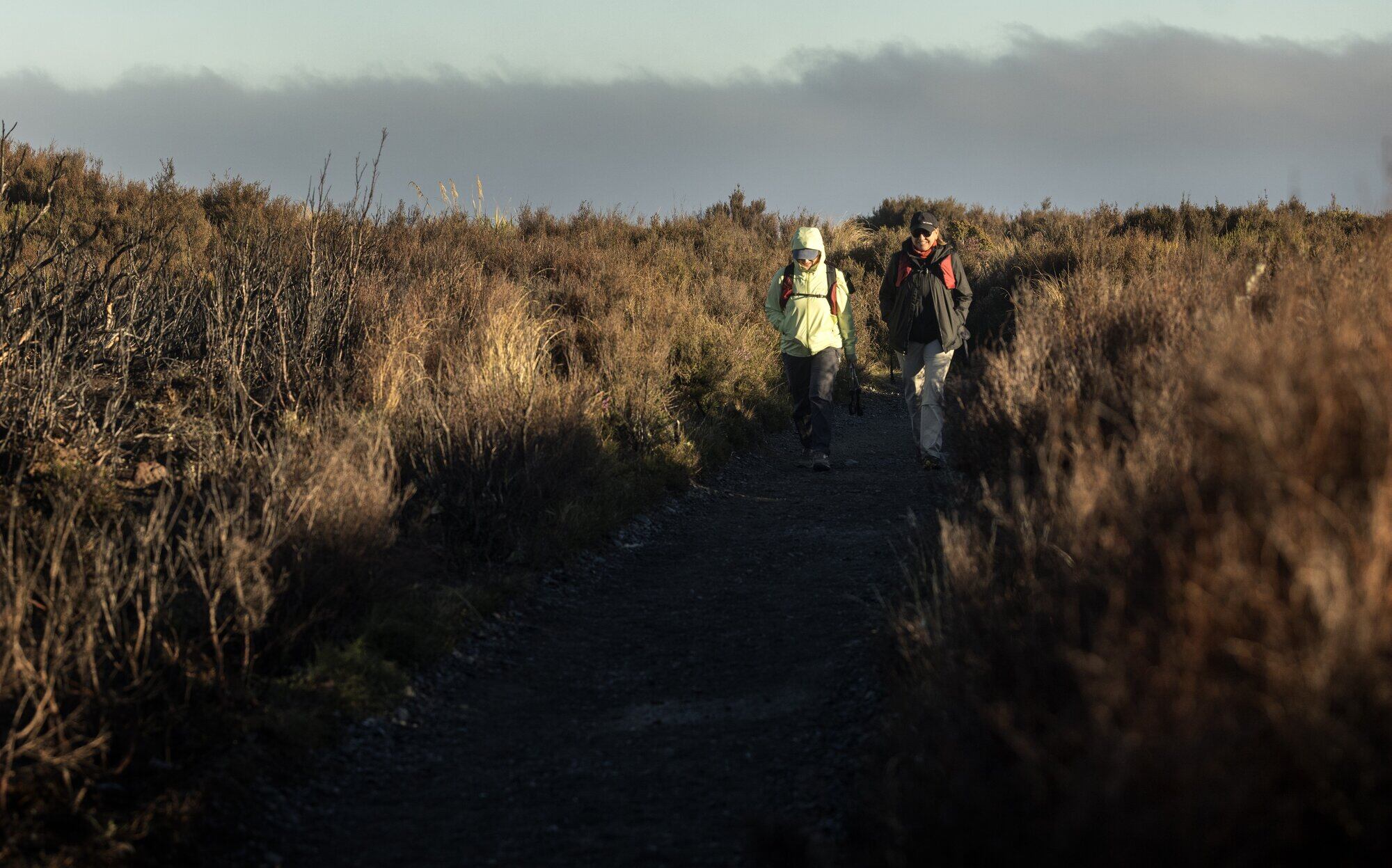 Walkers at the beginning of the Tongariro Alpine Crossing track. Photo / Mike Scott
