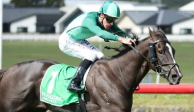 Hutchings ends NZ stint on a high