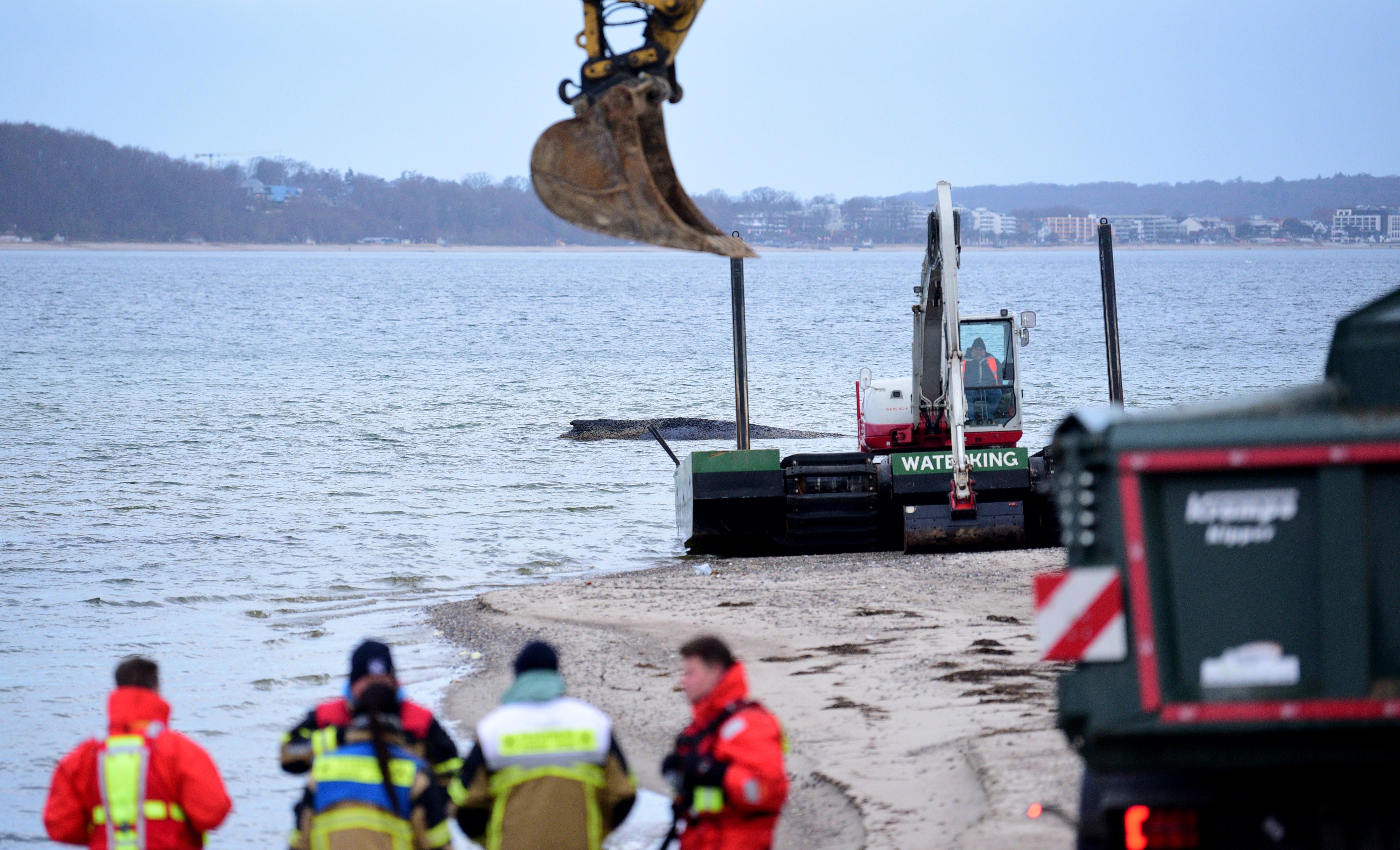 Helpers gather on the beach near the stranded whale off the German coast