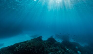A photo of the ocean floor