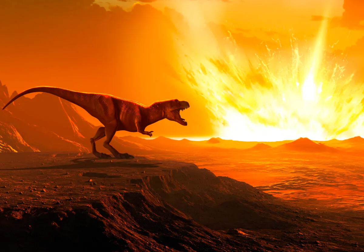 It’s widely accepted that a huge asteroid strike probably killed the dinosaurs. But could gravity be the real culprit? Credit: Mark Garlick / Science Photo Library