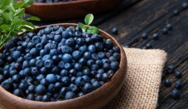 Why Wild Blueberries Might Be the Most Powerful Fruit in the Produce Aisle