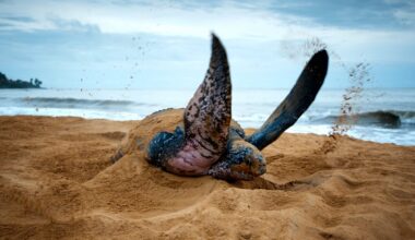 © Graham Eaton/Nature Picture Library