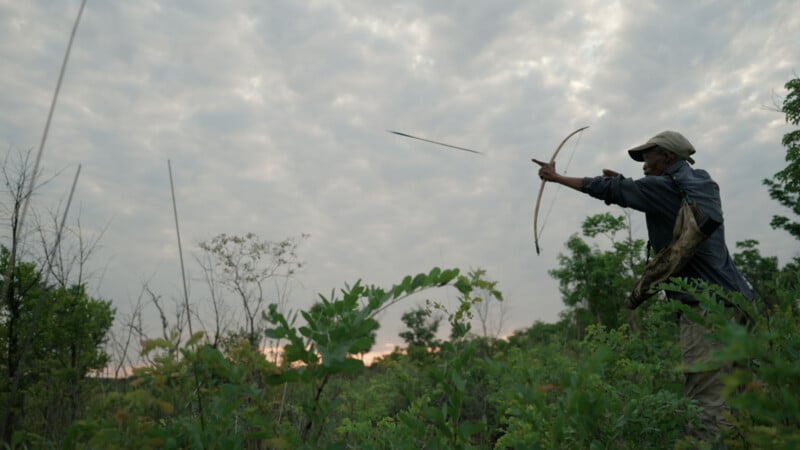 A person wearing a cap and carrying a bag shoots an arrow from a bow while standing in dense green vegetation under a cloudy sky.