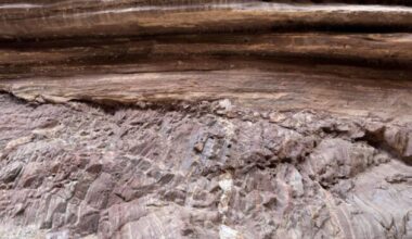 Scientists Find Tectonic Forces Erased a Billion Years of Earth’s History