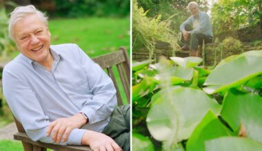 david attenborough in his garden