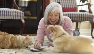 Vet shock: Pet owner extends mortgage by $20,000 to pay bills