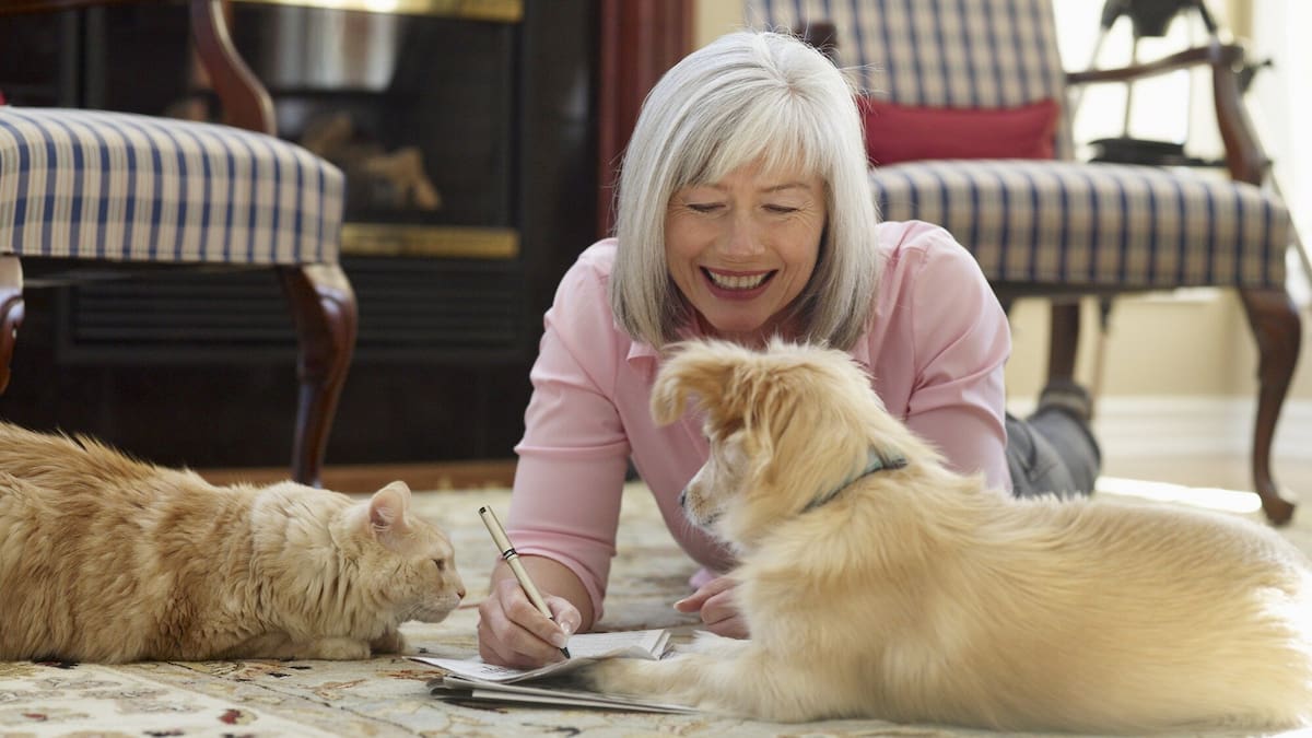 Vet shock: Pet owner extends mortgage by $20,000 to pay bills