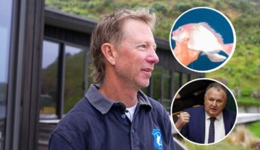 Matt Watson slams proposed fishing law changes to scrap commercial minimum fish sizes