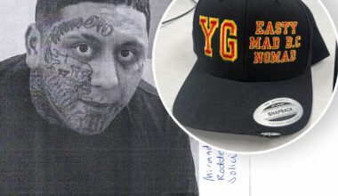 Court of Appeal upholds Mana Brown’s conviction for wearing gang insignia