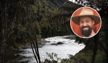 Concerns for native birdlife as pack of dogs at large in Waioweka forest