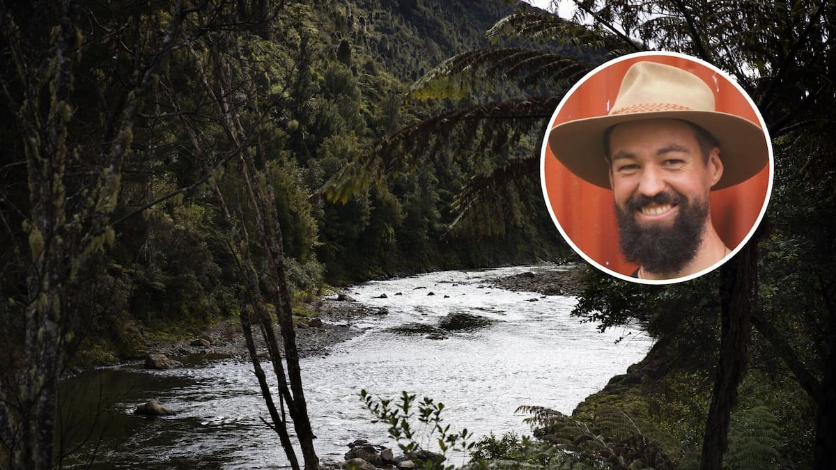 Concerns for native birdlife as pack of dogs at large in Waioweka forest
