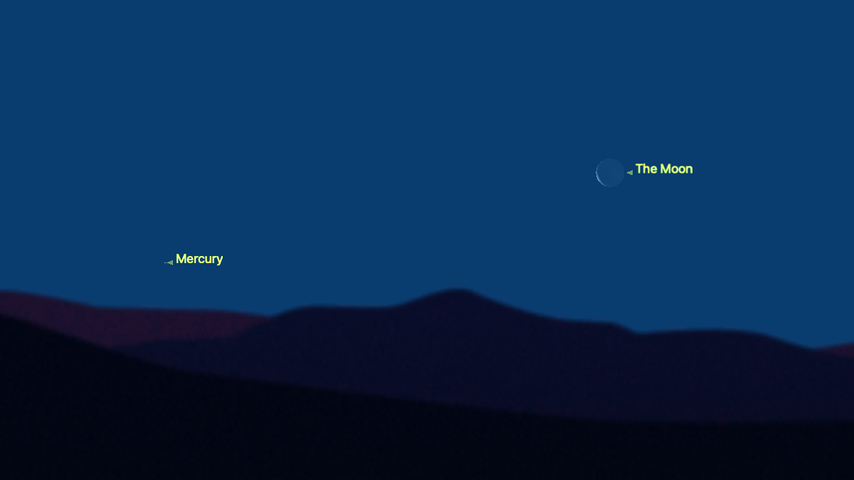 A simulation of the night sky for March 16 showing Mercury labelled close to the silhouetted horizon in a dark blue sky with the slender crescent waning moon to its right.
