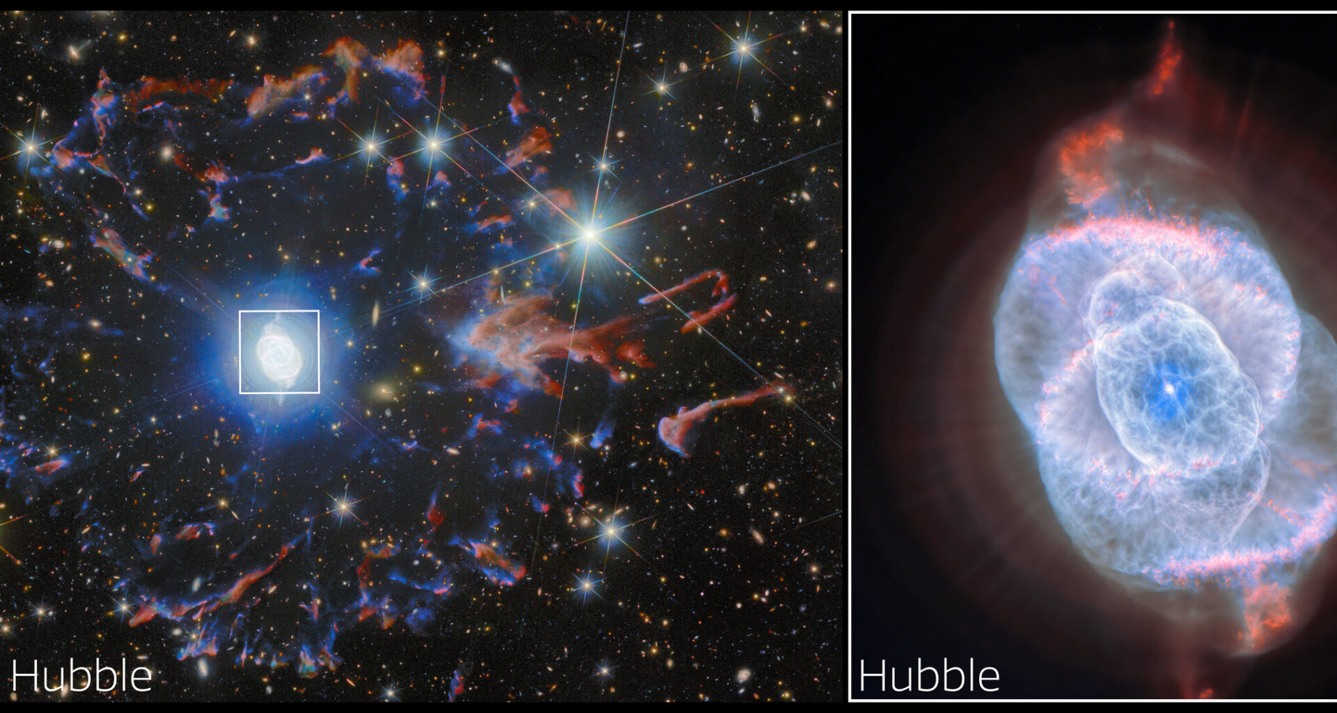 Hubble & Euclid: zoom into Cat