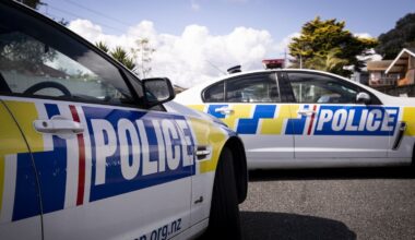 Man dies in police custody in Auckland, investigation launched