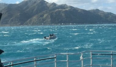 While the skipper was scuba diving, Wellington boaties ask to be rescued as they blew out to sea