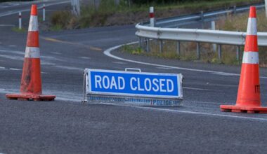 Grant Organ lost control of his car, before he ‘fishtailed’, and crashed into tree, killing wife