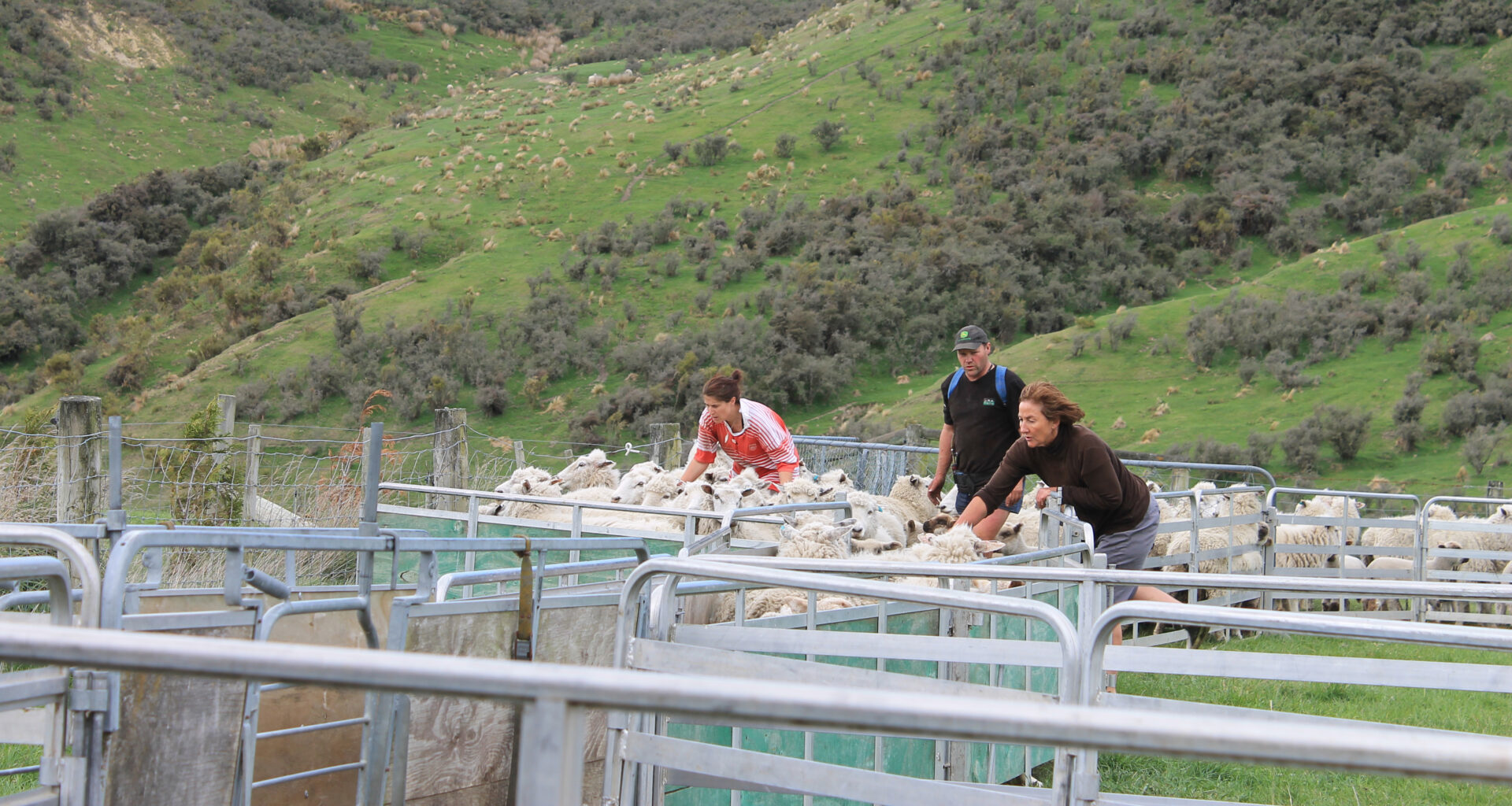 E-diary notices: 6 March 2026