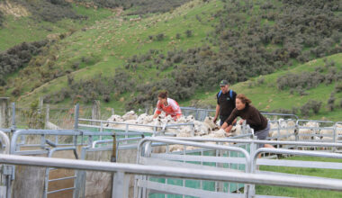 E-diary notices: 6 March 2026