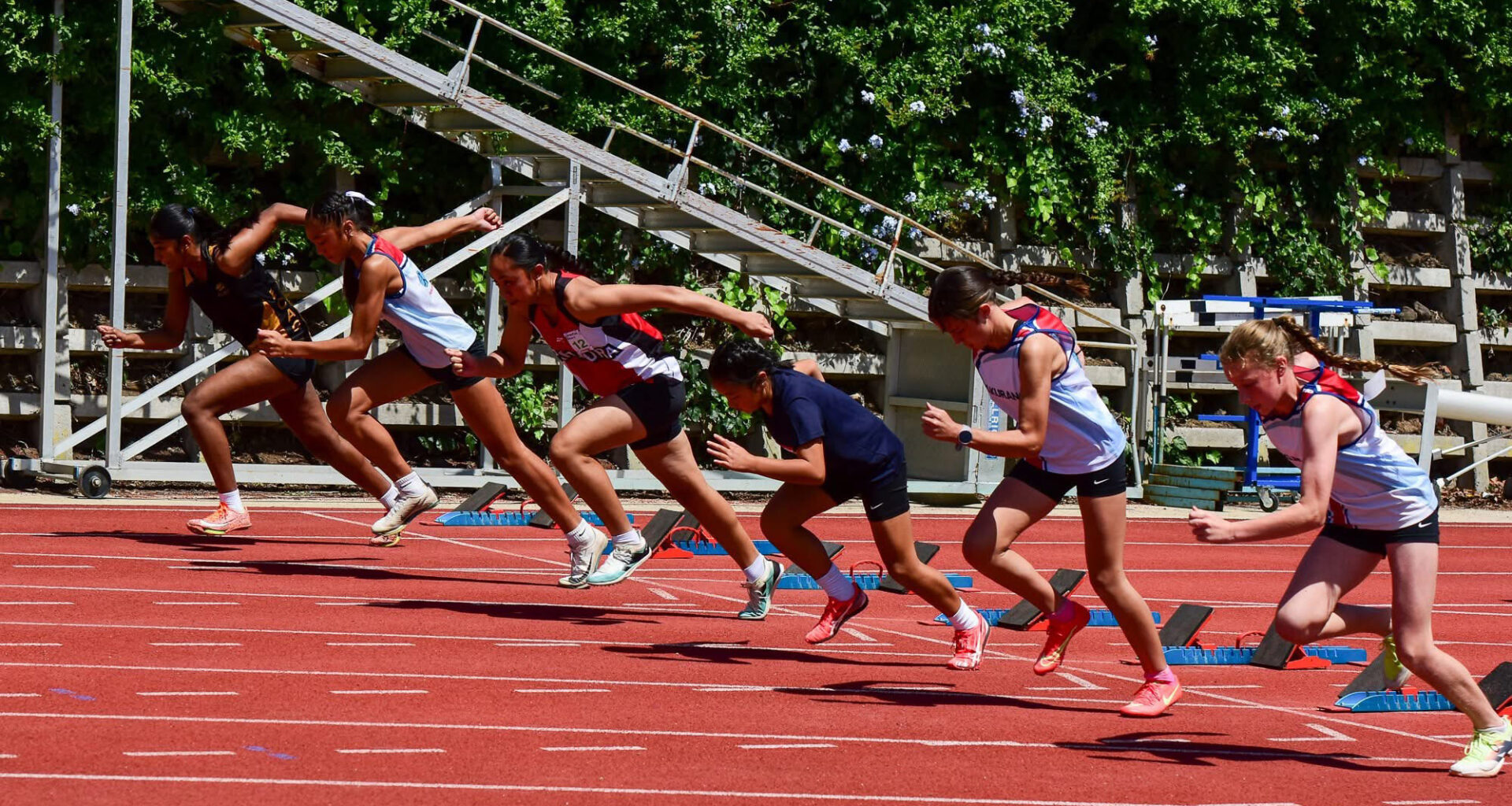 Weekly Round Up – 2 March Featured Image