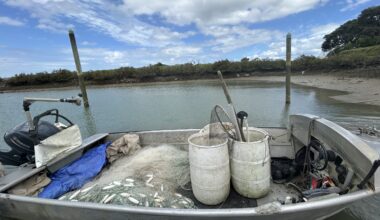 Fishing for a win, the National Party does a backflip